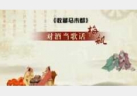 20100529�ղ��Rδ��ҕ�l�͹Pӛ:÷ƿ,��(j��ng)ƿ,����,����,����Gϵ