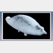 �����B�ΉصĈDƬ�����r���ߴ������κ�����