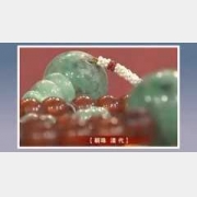 20110219�ղ��Rδ��ҕ�l�͹Pӛ:����,����,��(ji��)��,ҹ����,����,����