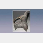 ��ɽ���յ��Ɂ�������?x��)r�g����������