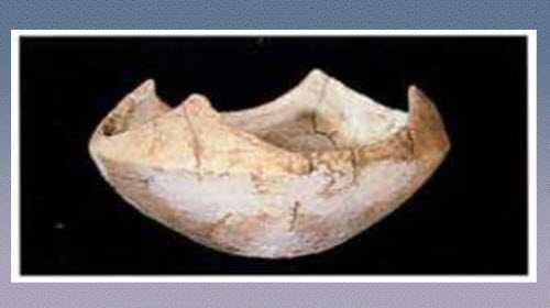 ��Ϫ�Ļ��İ�����