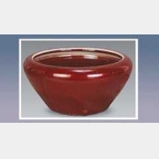 �t�Եķ�����ɫ�N�������