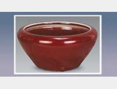 �t�Եķ�����ɫ�N�������