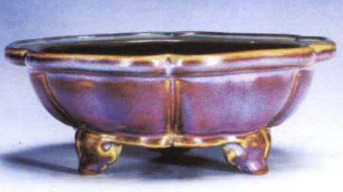 ���� �x�Gõ���������ˮ����