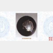 8�f�ļ��ݸG����ľ�~��ĈDƬ�����r���ɽ��r��������������ߴ�