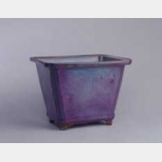 �x�Gõ�������L������ĈDƬ�����c�����R��������b�p���^��