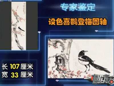 �챯���O����O(sh��)ɫϲ�o��÷�D�S