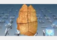 20041109�����n��ҕ�l�͹Pӛ:����׹�Ƭ(��),��ܲ�s,����