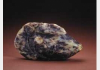 Ԫ���~(y��)�ĈDƬ�����c(di��n)��������b�p���^��