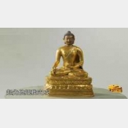 ����~�y���������