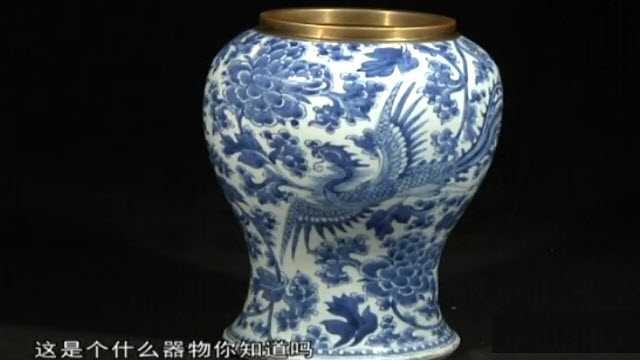 青花鳳尾觚殘件