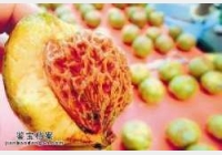 ������Ҳ�����֪�Ĺ���,��ʮ�f�ĜZˮـ��Ƥ