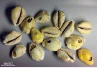 �X�ŵ���Դ��������ΑB(t��i)