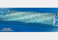 �Rδ���������µ�589ƪ������