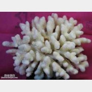 ɺ����?zh��n)΃?y��u)�ӵ��b�e