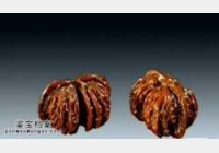 20141015�A�ĊZ��ҕ�l�͹Pӛ:�������,�B�w����,�Ƥ,ـ��Ƥ