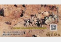 20141101�����n��ҕ�l�͹Pӛ:�M�����,��߅���،�,���~��