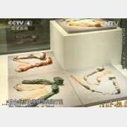 20150210�����n��ҕ�l�͹Pӛ:����ӛ��,�ű�����,���,���,ˮ��