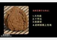 20150805�A�ĊZ��ҕ�l�͹Pӛ:�������,������,�ό�ʯ,��ñ,�˵�