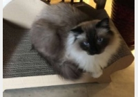 �Rδ���������µ�1397ƪ:����؈����