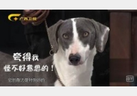 20180331�ղ��Rδ��ҕ�l�͹Pӛ:��Ȯ,����Ȯ,���ЌW�f,ʮ�EȮ�D